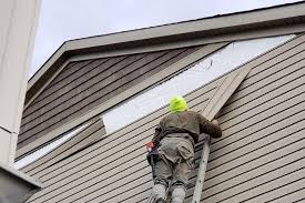 Best Custom Trim and Detailing for Siding  in New Middletown, OH